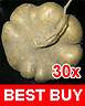 Jicama Yam Bean Mexican Turnip Potato 30 Seeds