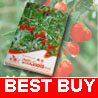 200 GOJI BERRY PLANT Seeds Lycium Barbabarum Anti-Aging