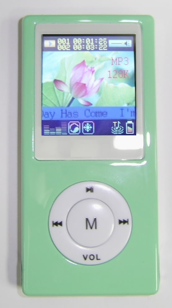 1GB MP3 MP4 FM Radio USB Drive Flash Disk Player #12G